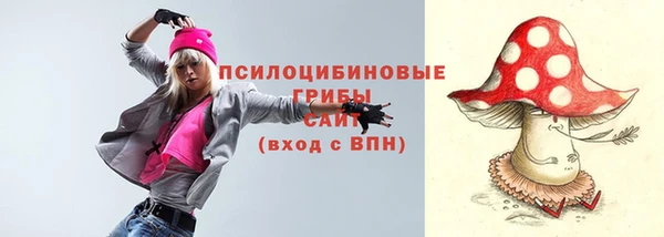 твердый Тихвин