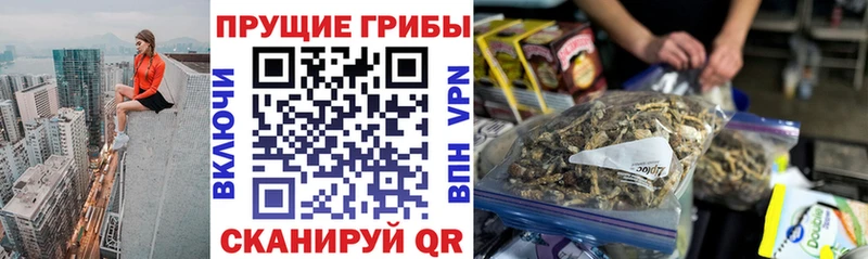 Галлюциногенные грибы мухоморы  Северская 