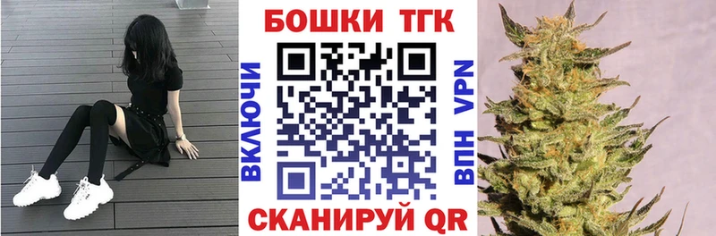 MEGA ссылки  Северская  Каннабис THC 21%  купить наркотик 